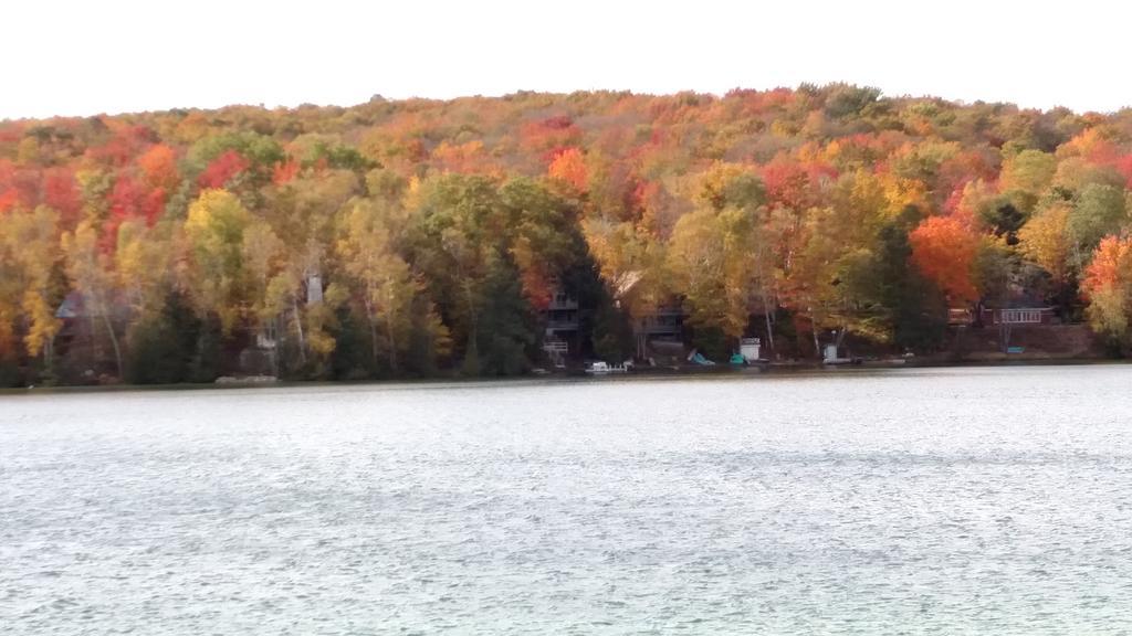 Log Cottage On Blue Lake Kalkaska Exterior photo